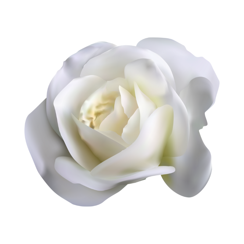 Rose Clipart Black and White